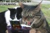pokecat.jpg