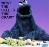 zzzcookiemonster.jpg