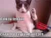 funny-pictures-cat-tells-you-to-talk-to-foot.jpg