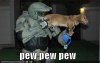 LOLdog+-+Pew+Pew+Pew.jpg