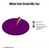 funny-graphs-when-your-crush-ims-you.jpg