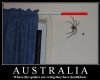 SpidersinAustralia.jpg