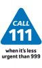 NHS-111-LOGO-FINAL-CMYK-BLK_250x400.jpg