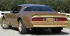 78transam6.jpg