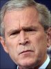 bush-confused-frown-aa.jpg