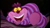 cheshire-cat-4.jpg