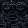 Tool+Pic..png