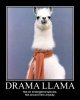 2802732-drama_llama.jpg
