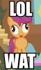 75603-my-little-pony-friendship-is-magic-lolwat.jpg