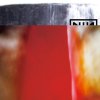 Nin-the_fragile800.jpg