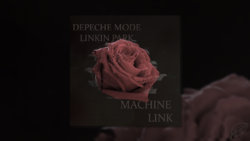 Machine Link Large.jpg