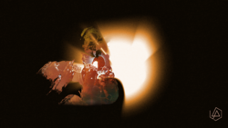 chester Umriss Insta bunt.png