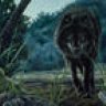 DarkWolf08