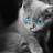 krylon_blue83