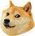 Doge